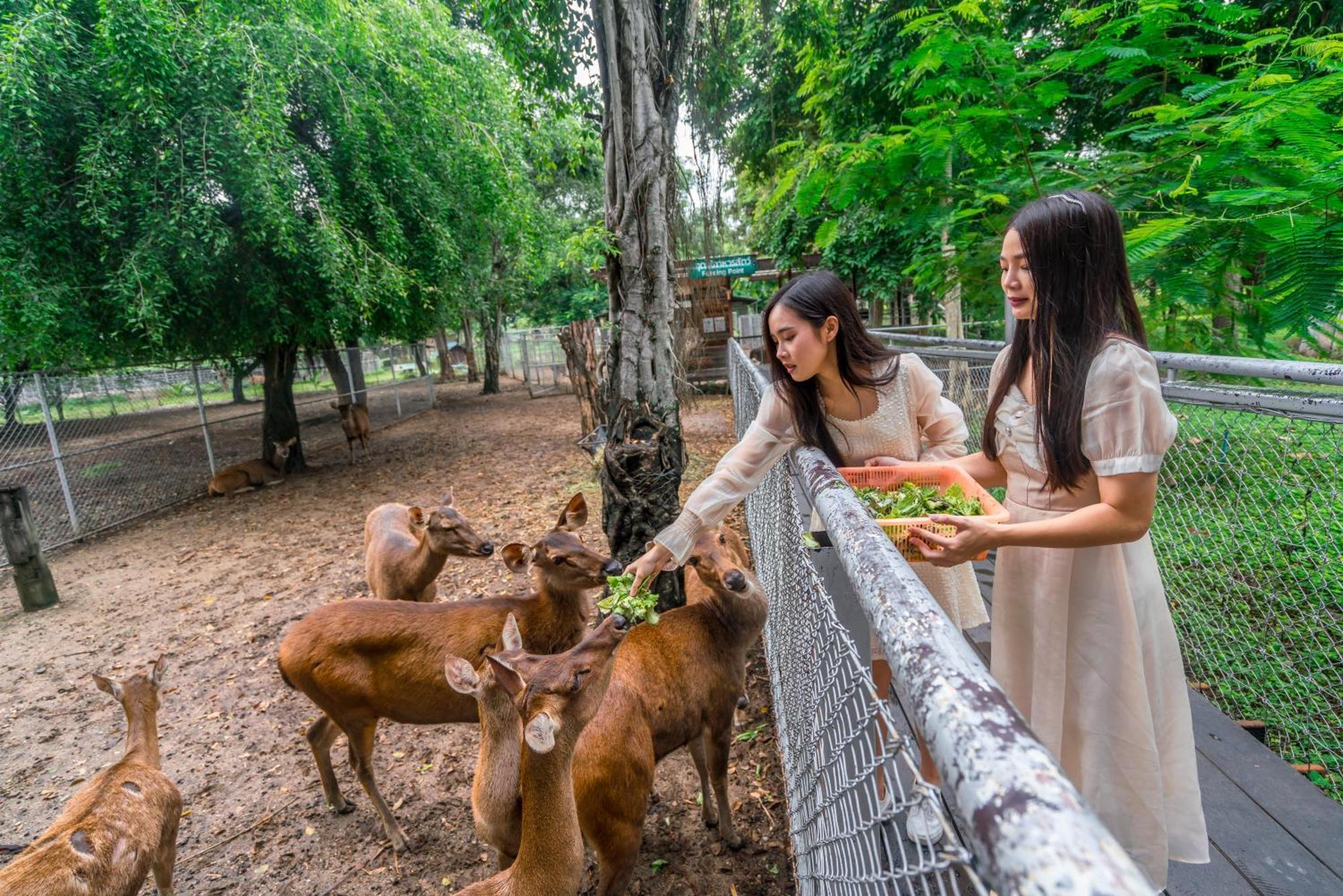 Horizon Village & Resort Doi Saket Esterno foto