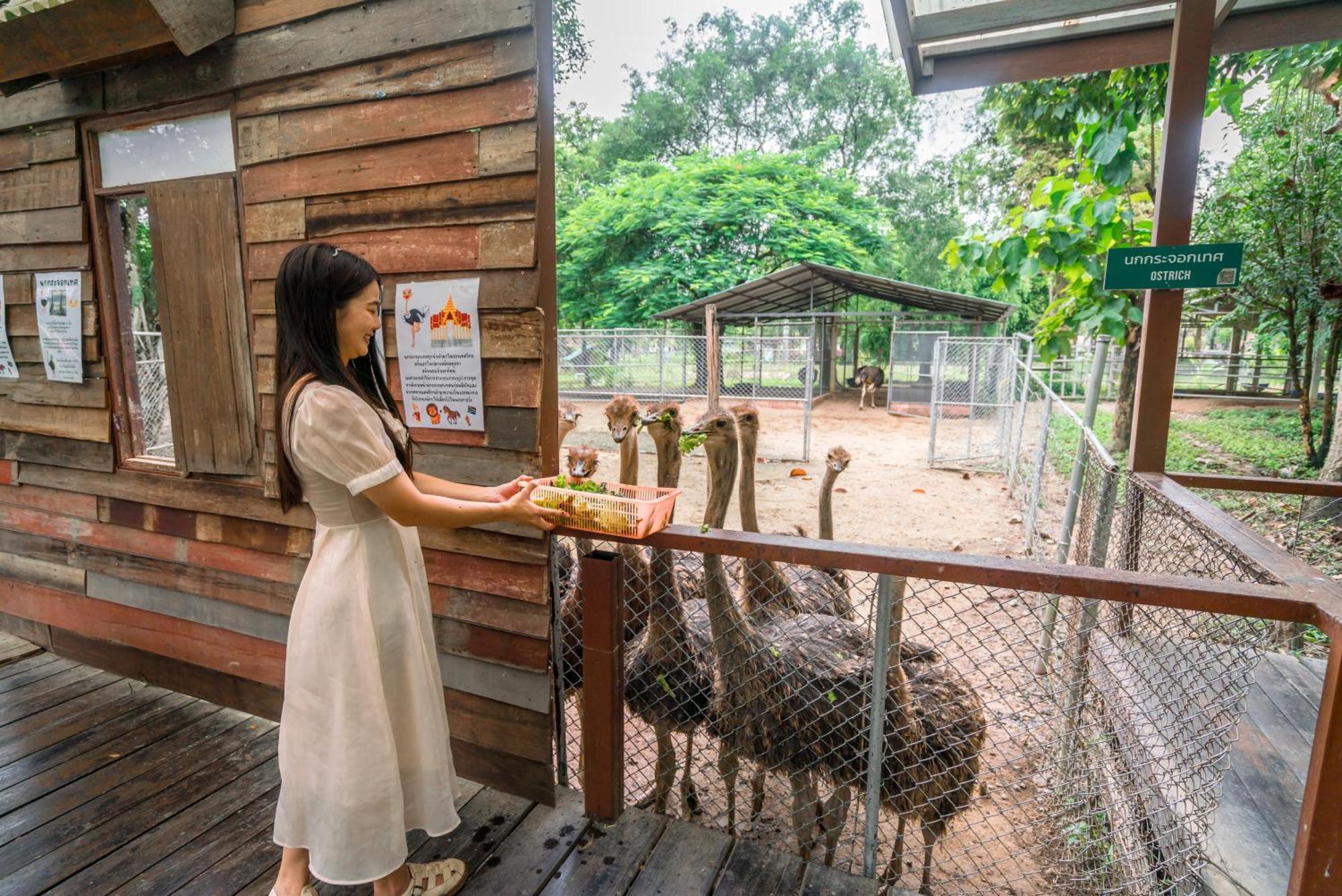 Horizon Village & Resort Doi Saket Esterno foto